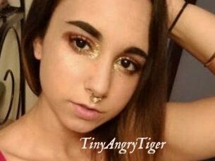 TinyAngryTiger