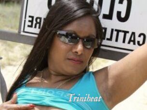Triniheat