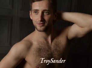 TroySander