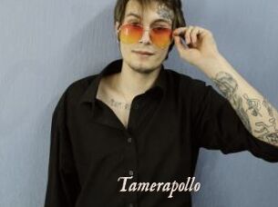 Tamerapollo