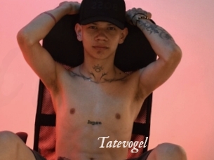 Tatevogel