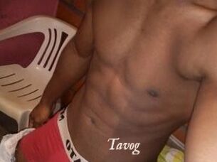 Tavog