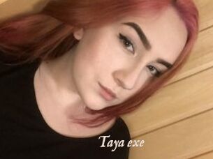 Taya_exe