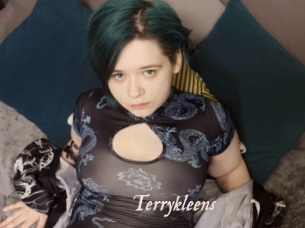 Terrykleens
