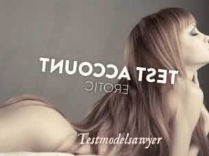 Testmodelsawyer