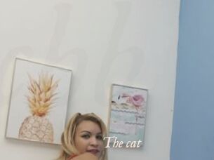 The_cat