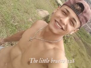 The_little_bruette_228
