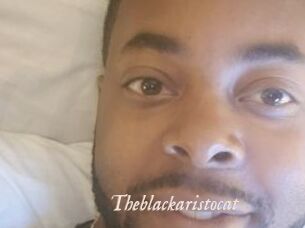 Theblackaristocat
