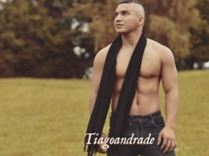 tiagoandrade Chobix 