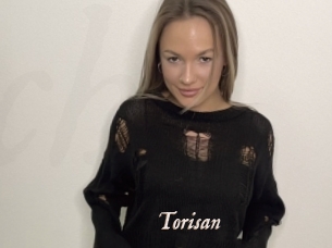 Torisan