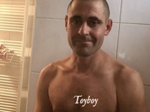 Toyboy