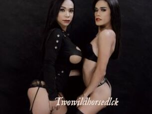 Twowildhorsedlck