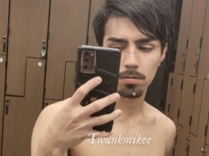 Twunkmikee