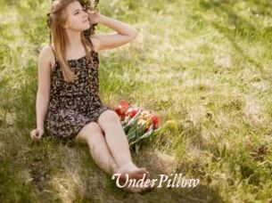 UnderPillow