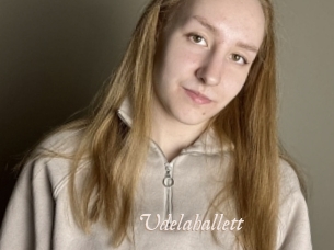 Udelahallett