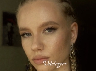Udelegeer