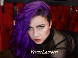 VelvetLambert