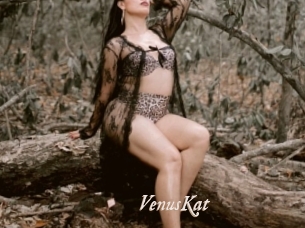 VenusKat
