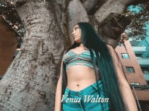 Venus_Walton