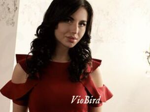 VioBird