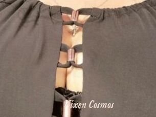 Vixen_Cosmos