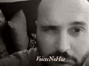 VoicesNoHue