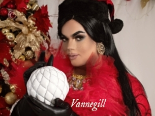Vannegill