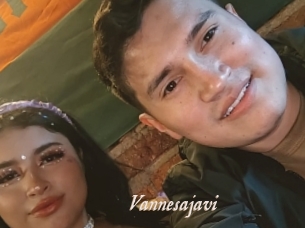 Vannesajavi