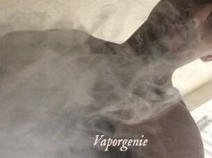 Vapor_genie