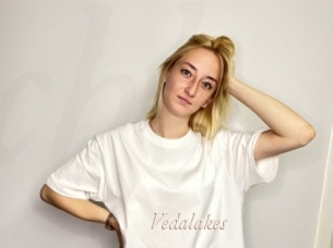 Vedalakes
