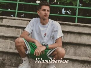 Velamikbarbosa
