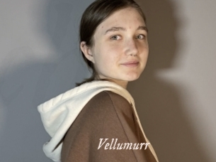 Vellumurr