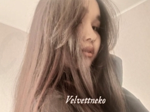 Velvettneko