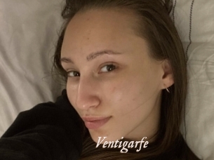 Ventigarfe