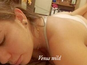 Venus_wild
