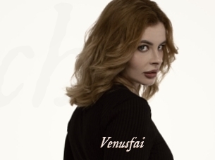 Venusfai