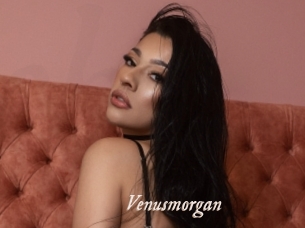 Venusmorgan