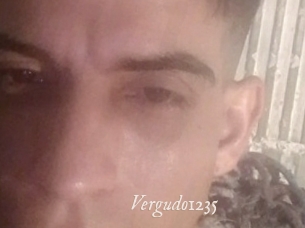 Vergudo1235