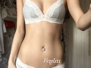 Vezels11