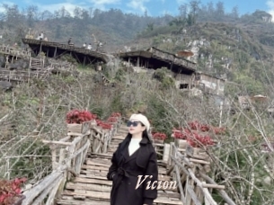 Vicion