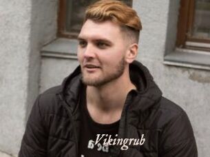 Vikingrub