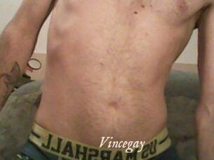 Vincegay
