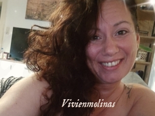 Vivienmolinas