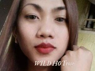 WILD_HOTrose
