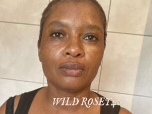 WILD_ROSEY40