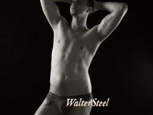 WalterSteel