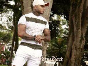WayneBlack
