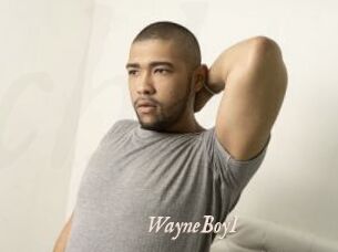 WayneBoyI