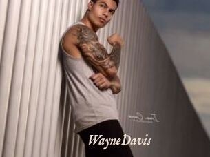 WayneDavis