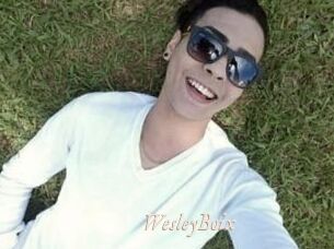 Wesley_Boix